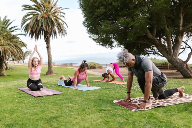 Diverse group practicing yoga outdoors in a sunny park setting. Emphasizes fitness and wellness.